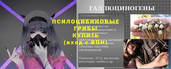 СК Балахна