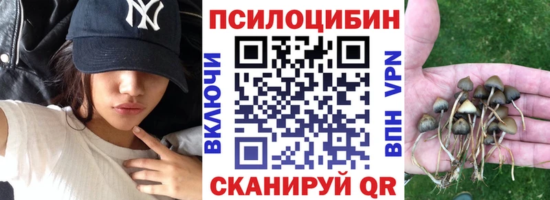 цена Городец Галлюциногенные грибы Psilocybine cubensis